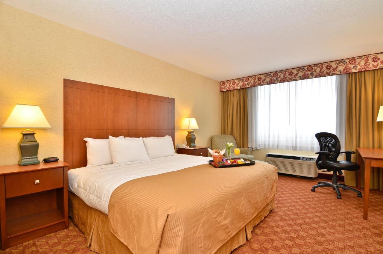 King Room Pet Friendly or Non-Smoking